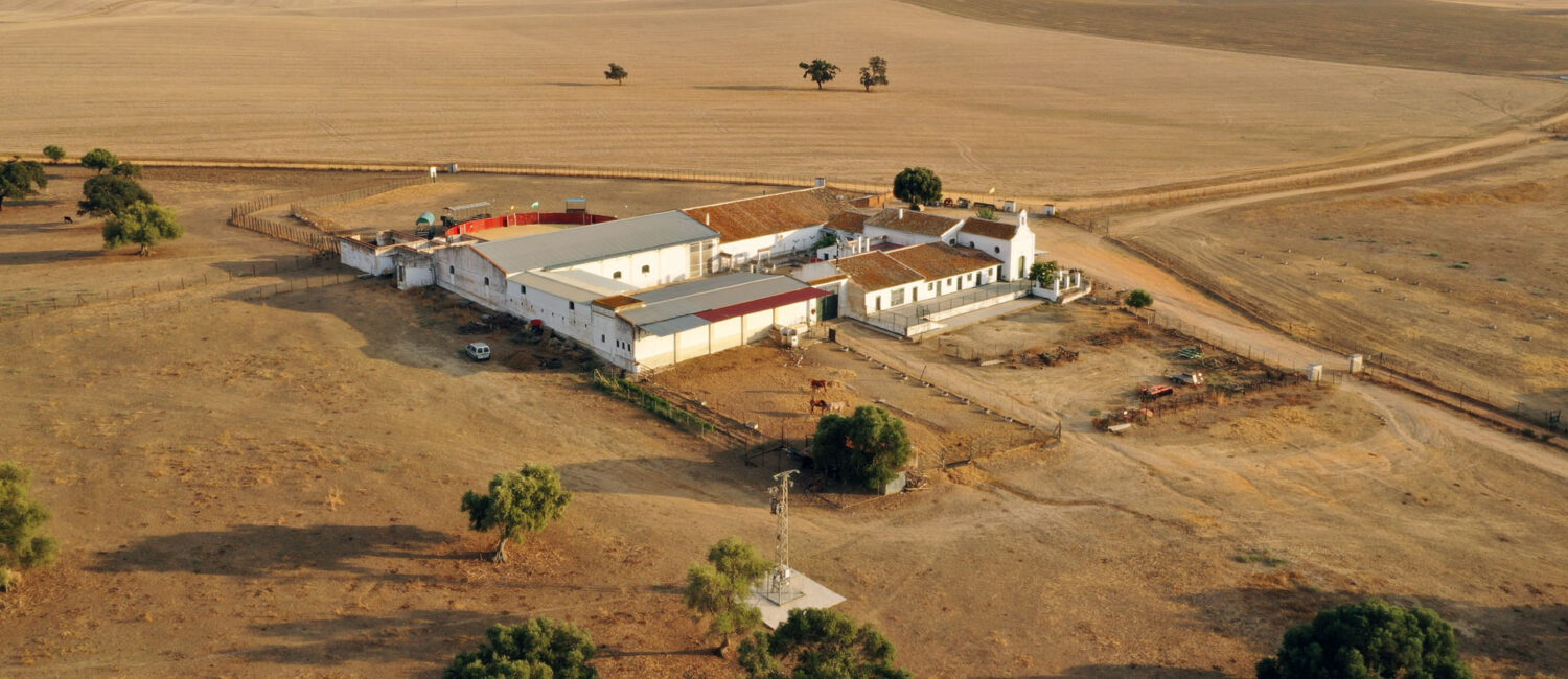 Finca La Torre